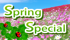 spring_sp